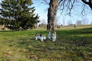 Eryk R. z Zamościa, 16-letni syn gwiazdy disco polo, pobity na śmierć