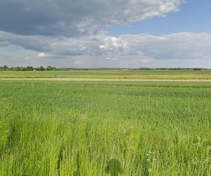 Niemstów. Nazwa tej wsi na Podkarpaciu wywodzi się od łąk leżących na skraju lasu. Pierwsi osadnicy budowali na nich swoje chaty