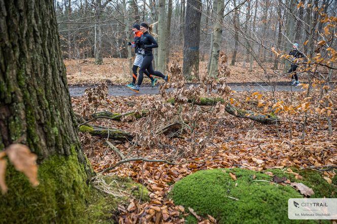 Biegacze City Trail Katowice dobiegli do mety sezonu