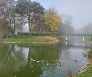 Zamojski Park jesienią