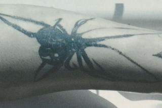 Ciało kobiety w Wiśle pod Kwidzynem! Policja prosi o pomoc w ustaleniu tożsamości [ZDJĘCIA].