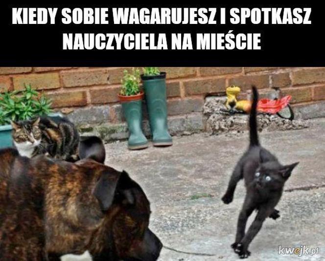 Najlepsze memy na dzień wagarowicza. Wy też urywaliście się z lekcji? 