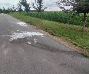 Ślady zbrodni na drodze, spalone ubrania ofiary spod Grójca. Sąsiedzi: Myśleliśmy, że to mafijne porachunki