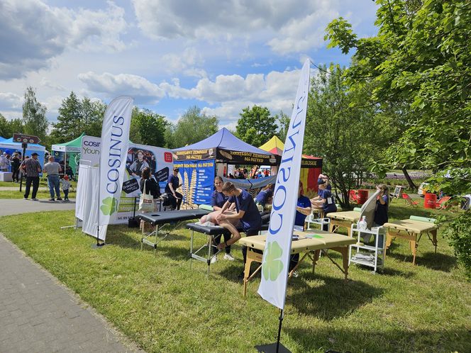 Festiwal Przyjaciół Zwierząt w Olsztynie. Park Centralny opanowały radosne pieski