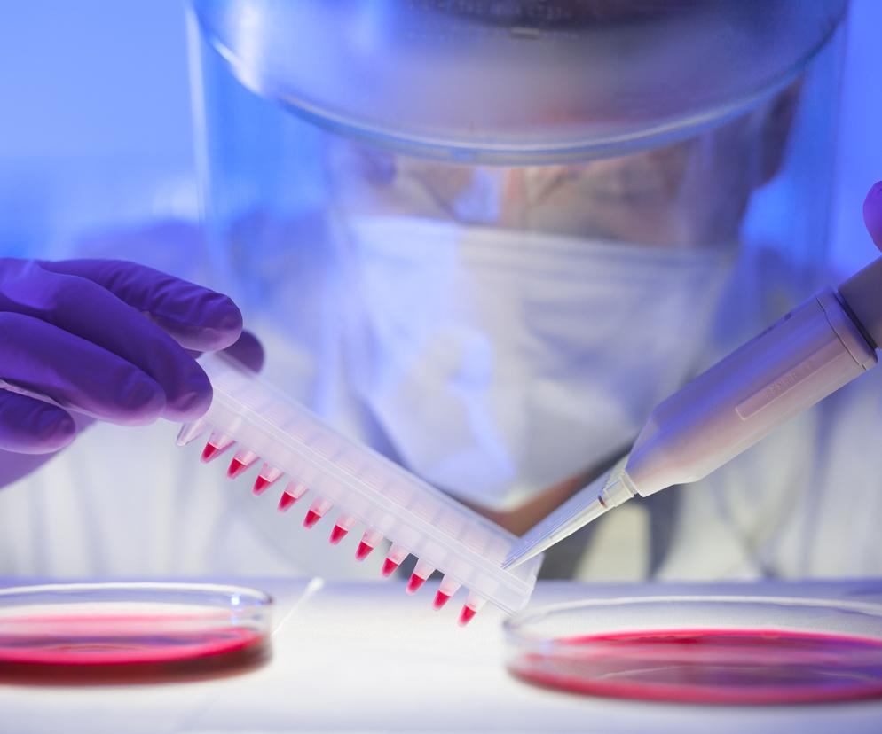 Naukowcy wyhodują ludziom nowe narządy. Do sześciu mini wątrób jednocześnie