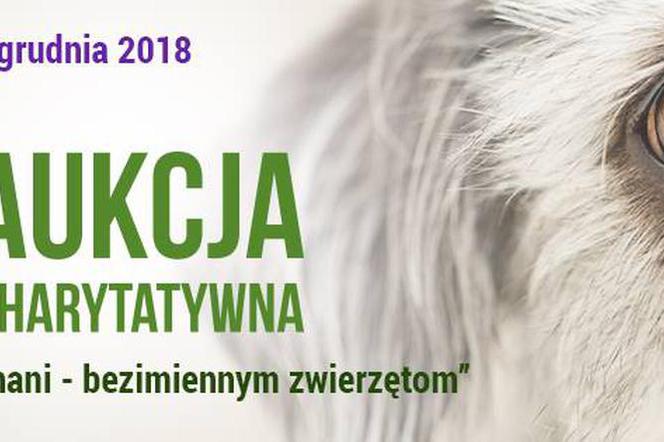 aukcja