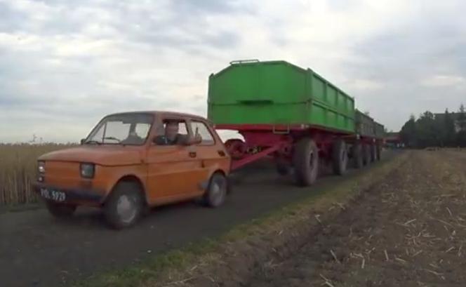 Maluch mocarz! Fiat 126p ciągnie trzy rolnicze przyczepy