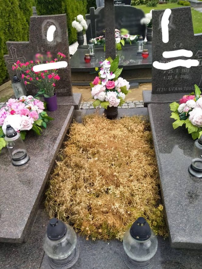 Lutynia pod Pod Wrocławiem. Małżeństwo ofiarą ataków sąsiadów za poparcie Trzaskowskiego [ZDJĘCIA]