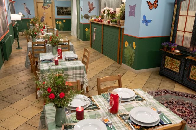 Restauratorka wykorzystała Magdę Gessler? Internauci wściekli po emisji odcinka