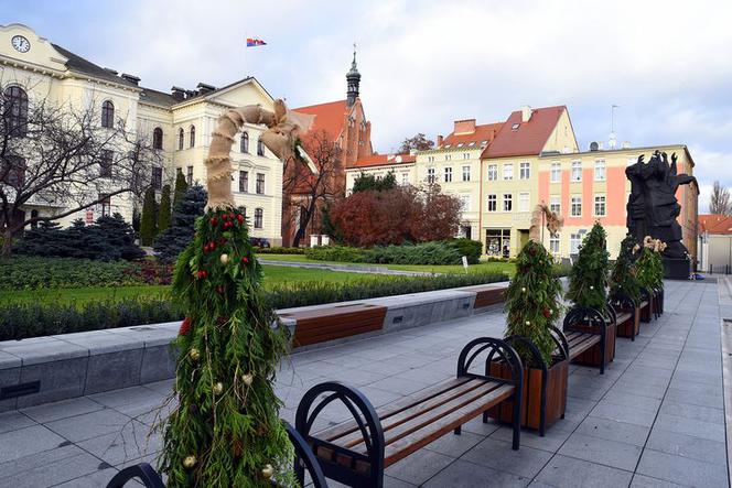 Magia świąt opanowała Bydgoszcz! Na Starym Rynku pojawiła się choinka! [ZDJĘCIA]