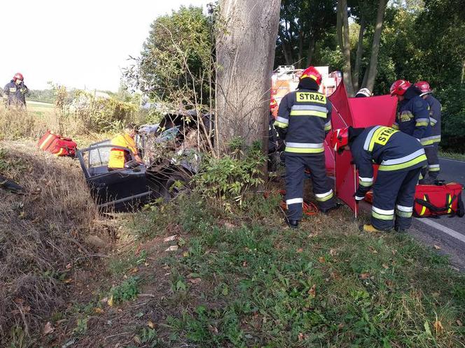 Tragiczny wypadek pod Bydgoszczą. Kierowca zginął na miejscu! [ZDJĘCIA]