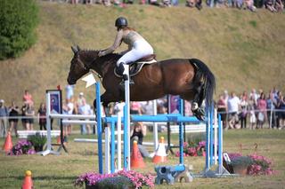 Powożenie końmi zimnokrwistymi w Grudziądzu