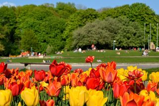 Najpiękniejszy park na świecie znajduje się w Warszawie? Ten Central Park wygląda jak z bajki Disneya