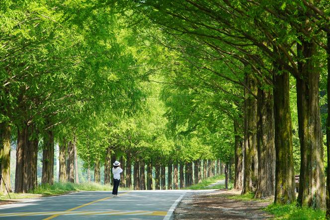 Warmia i Mazury. Nowe połączenia autobusowe być może już na wakacje [AUDIO]