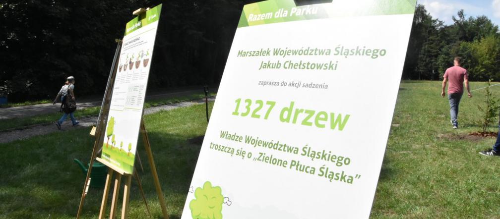 Park Śląski: AKCJA 1327 DRZEW Patryk 