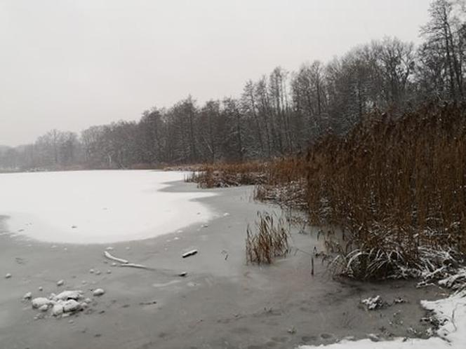 Jezioro Rusałka w zimowej aurze