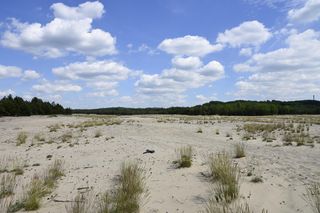 To miejsce jest uznawane za prawdziwy cud natury. Znajduje się godzinę drogi z Krakowa 