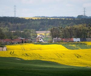 Pelplin – „mały Watykan” w woj. pomorskim
