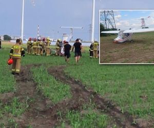 Awionetka dachowała w polu. Pilot wyszedł bez szwanku. To był cud [ZDJĘCIA]