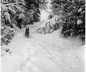 Tak wyglądała zima w Korbielowie 60 lat temu