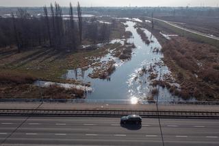 Wrocław: Czy grozi nam POWÓDŹ? Mieszkańcy patrzą na rzeki i czują niepokój [WIDEO]