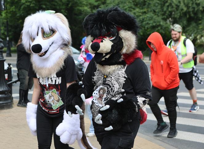 Marsz futrzaków w Lublinie. Tak wyglądał I Lubelski Fursuitwalk