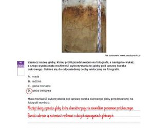 Matura 2025 geografia rozszerzona - odpowiedzi do arkusza CKE 15.05.2025 - Formuła 2023