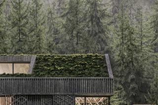 The Austra's Shelter. Wizualizacja elewacji bocznej