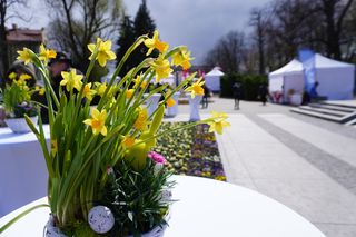 Trwa największy Podkarpacki Jarmark Wielkanocny w Rzeszowie