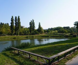 Oto największe dzielnice w Gdańsku