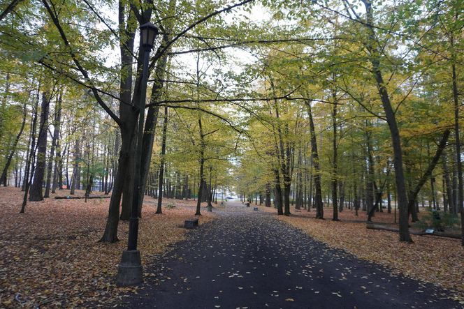 Park Lubomirskich w Białymstoku jesienią 