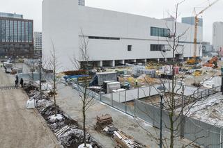 Drzewa pod Pałacem Kultury