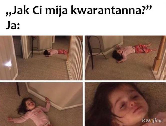 Memy o kwarantannie