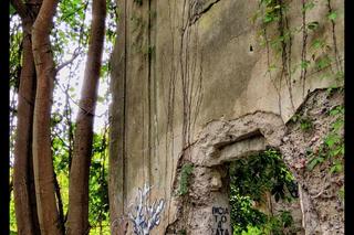 Zobacz, jak wygląda tajemnicy grobowiec rodziny Mielochów