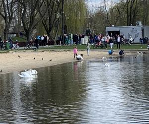 Stawiki w Sosnowcu budzą się do życia na wiosnę