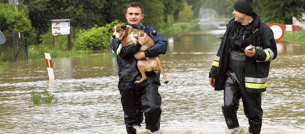 Uratowaliśmy psa z topielil