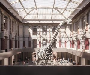 Muzeum Historii Naturalnej w Berlinie według WXCA