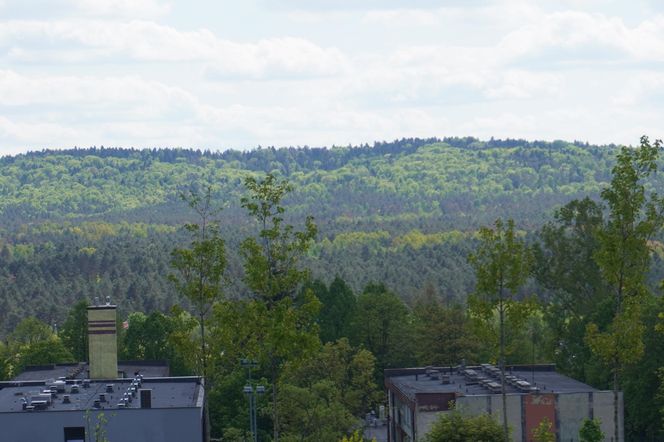 Ogród Botaniczny w Kielcach