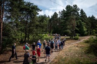 Wakacje w Bydgoszczy. Za darmo obejrzysz wystawy, pójdziesz na spacer z przewodnikiem czy do kina