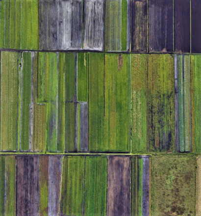 Szczecin w szczególe według Google Earth
