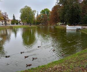 Jesienią w siedleckim parku miejskim Aleksandria nie brakuje amatorów spacerów i aktywności na świeżym powietrzu