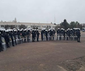 Atestacja koni służących w łódzkiej policji i straży miejskiej