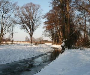 Świerczewo