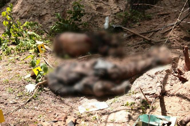 Pod Buczą znaleziono kolejny grób z ciałami cywilów