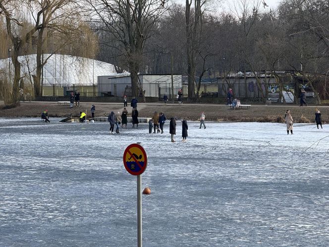 Skrajna nieodpowiedzialność. Spacerują po płytkim lodzie z dziećmi i psami. Dramat na Pradze-Południe w Warszawie