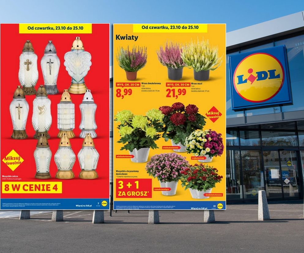 Znicze szklane i wkłady oraz doniczkowe chryzantemy i wrzosy na billboardach promocyjnych Lidla przed sklepem, z hasłami o promocji 8 zniczy w cenie 4 oraz 3+1 na chryzantemy. Szczegóły tych okazji znajdziesz na Super Biznes.