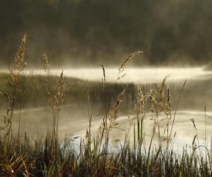 Jezioro Stelchno