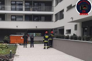 Kłótnia zakończona krwawą masakrą. Ciała dwóch młodych osób znaleziono w mieszkaniu na Woli