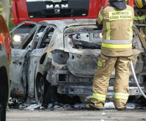 Zwęglone zwłoki w elektrycznym oplu. Samochód uderzył w drzewo i stanął w płomieniach