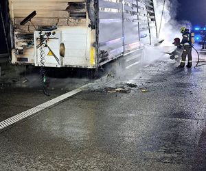 Tragedia na autostradzie A2 w Wielkopolsce! Zginęły dwie kobiety